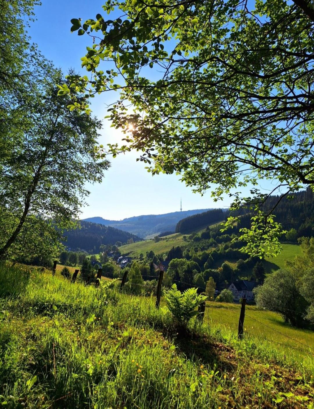 Ferienwohnung Kraehling Schmallenberg Esterno foto