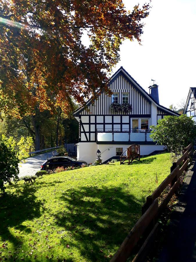 Ferienwohnung Kraehling Schmallenberg Esterno foto