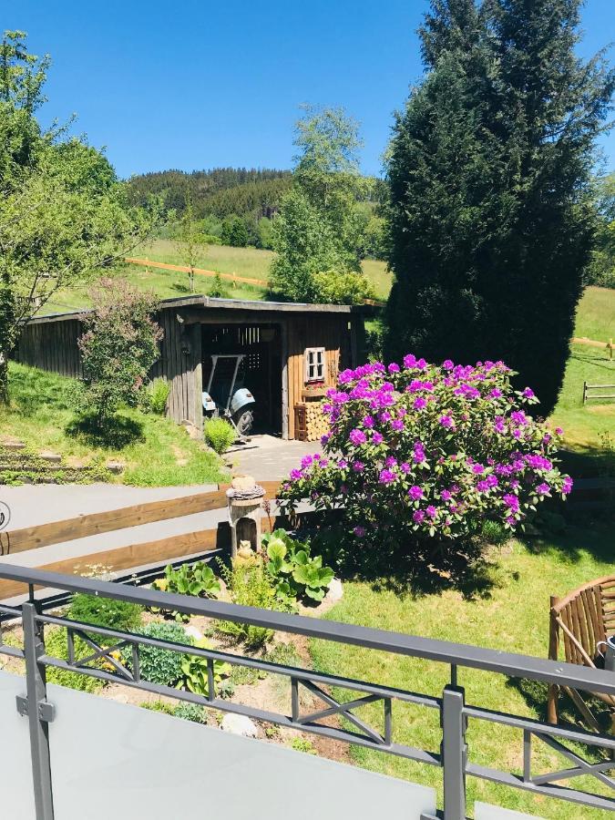 Ferienwohnung Kraehling Schmallenberg Esterno foto